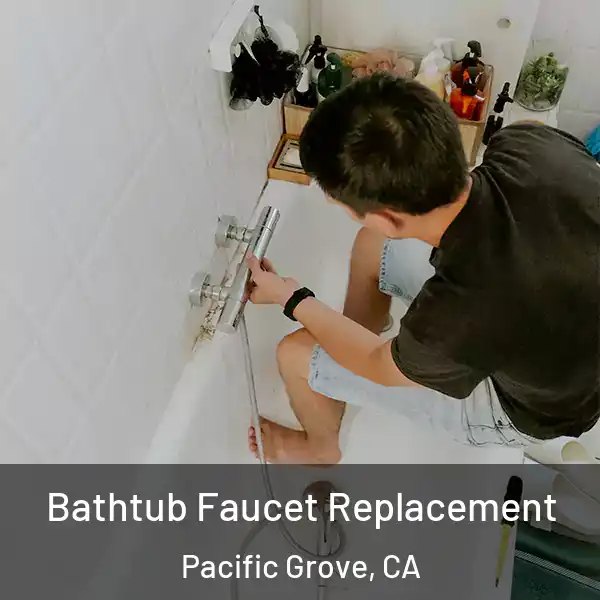  Bathtub Faucet Replacement Pacific Grove, CA