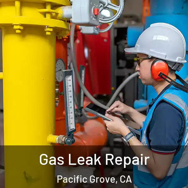  Gas Leak Repair Pacific Grove, CA