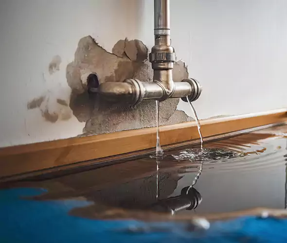 Professional Water Damage Restoration Experts in Pacific Grove, CA — Fast, Reliable & Certified