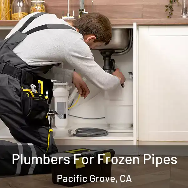  Plumbers For Frozen Pipes Pacific Grove, CA
