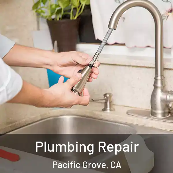  Plumbing Repair Pacific Grove, CA
