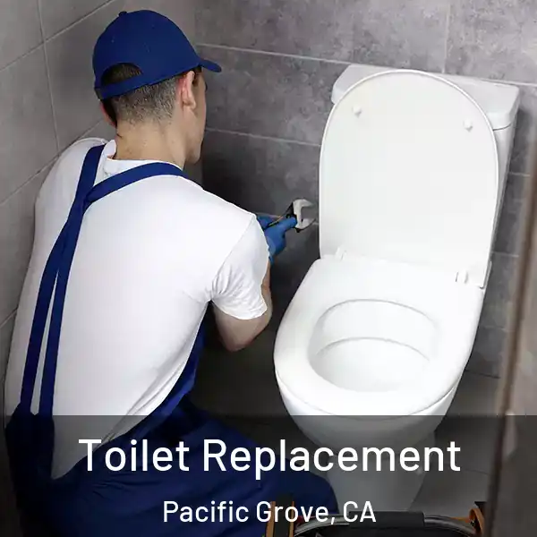  Toilet Replacement Pacific Grove, CA