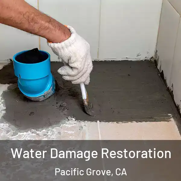  Water Damage Restoration Pacific Grove, CA