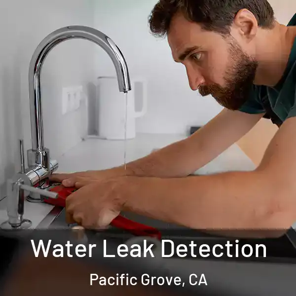  Water Leak Detection Pacific Grove, CA