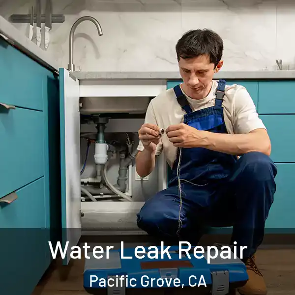  Water Leak Repair Pacific Grove, CA